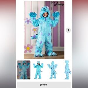 Disney Hooded Monsters Inc Sulley Costume for Kids Large (14)
